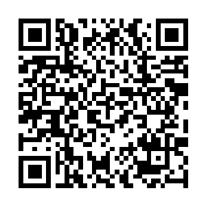 Lien vers votre campagne QRCode - Collecte de fonds