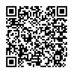 Lien vers votre campagne QRCode - Collecte de fonds