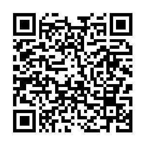 Lien vers votre campagne QRCode - Collecte de fonds