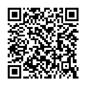 Lien vers votre campagne QRCode - Collecte de fonds