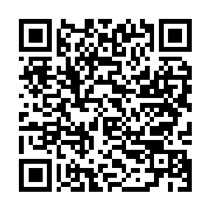 Lien vers votre campagne QRCode - Collecte de fonds