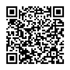 Lien vers votre campagne QRCode - Collecte de fonds