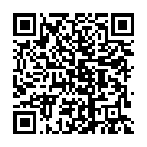 Lien vers votre campagne QRCode - Collecte de fonds
