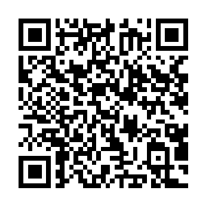 Lien vers votre campagne QRCode - Collecte de fonds