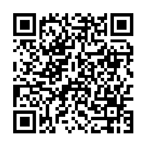 Lien vers votre campagne QRCode - Collecte de fonds