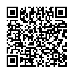 Lien vers votre campagne QRCode - Collecte de fonds