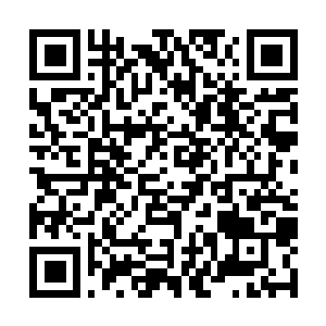 Lien vers votre campagne QRCode - Collecte de fonds