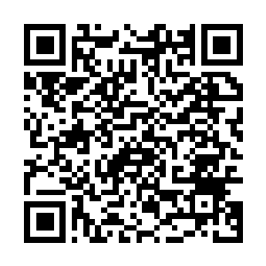 Lien vers votre campagne QRCode - Collecte de fonds