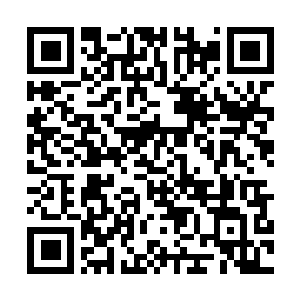 Lien vers votre campagne QRCode - Collecte de fonds