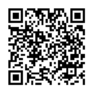 Lien vers votre campagne QRCode - Collecte de fonds
