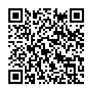 Lien vers votre campagne QRCode - Collecte de fonds