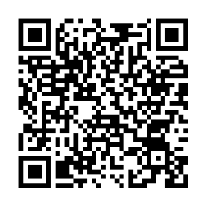 Lien vers votre campagne QRCode - Collecte de fonds