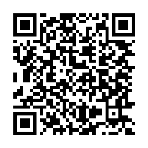 Lien vers votre campagne QRCode - Collecte de fonds