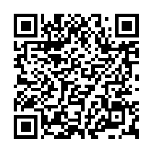 Lien vers votre campagne QRCode - Collecte de fonds