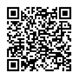 Lien vers votre campagne QRCode - Collecte de fonds
