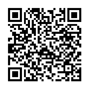 Lien vers votre campagne QRCode - Collecte de fonds