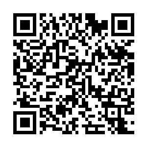 Lien vers votre campagne QRCode - Collecte de fonds