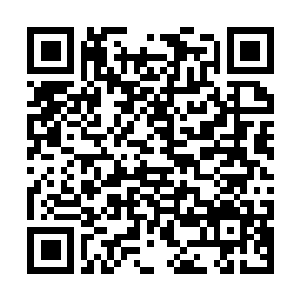 Lien vers votre campagne QRCode - Collecte de fonds