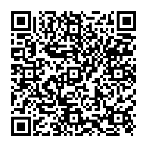 Lien vers votre campagne QRCode - Collecte de fonds