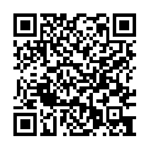 Lien vers votre campagne QRCode - Collecte de fonds