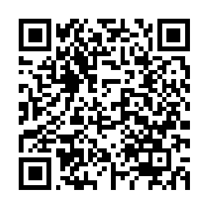 Lien vers votre campagne QRCode - Collecte de fonds