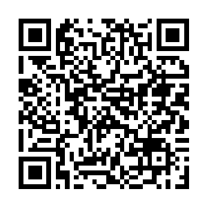 Lien vers votre campagne QRCode - Collecte de fonds