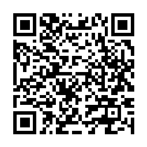 Lien vers votre campagne QRCode - Collecte de fonds