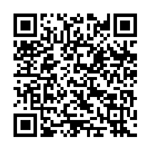 Lien vers votre campagne QRCode - Collecte de fonds