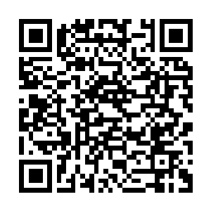 Lien vers votre campagne QRCode - Collecte de fonds