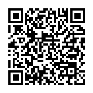 Lien vers votre campagne QRCode - Collecte de fonds