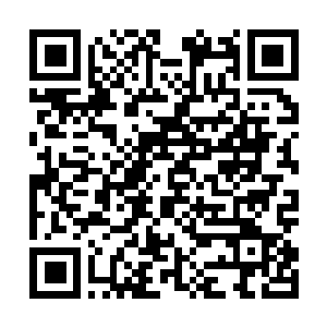 Lien vers votre campagne QRCode - Collecte de fonds