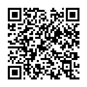 Lien vers votre campagne QRCode - Collecte de fonds