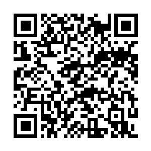 Lien vers votre campagne QRCode - Collecte de fonds