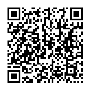 Lien vers votre campagne QRCode - Collecte de fonds