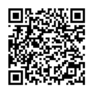 Lien vers votre campagne QRCode - Collecte de fonds