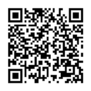 Lien vers votre campagne QRCode - Collecte de fonds