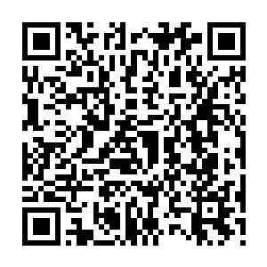 Lien vers votre campagne QRCode - Collecte de fonds
