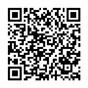 Lien vers votre campagne QRCode - Collecte de fonds