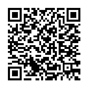 Lien vers votre campagne QRCode - Collecte de fonds