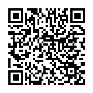 Lien vers votre campagne QRCode - Collecte de fonds