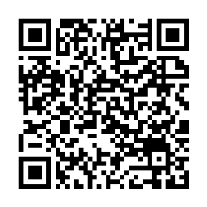 Lien vers votre campagne QRCode - Collecte de fonds