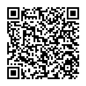 Lien vers votre campagne QRCode - Collecte de fonds