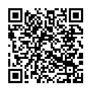 Lien vers votre campagne QRCode - Collecte de fonds