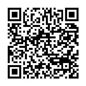 Lien vers votre campagne QRCode - Collecte de fonds