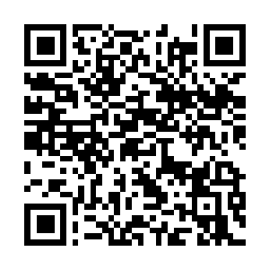 Lien vers votre campagne QRCode - Collecte de fonds