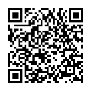 Lien vers votre campagne QRCode - Collecte de fonds