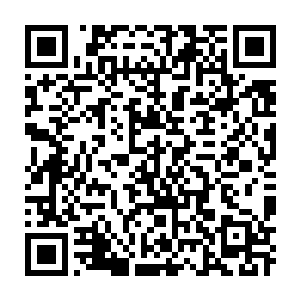 Lien vers votre campagne QRCode - Collecte de fonds