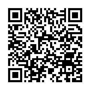 Lien vers votre campagne QRCode - Collecte de fonds