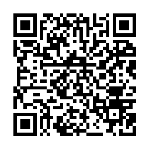 Lien vers votre campagne QRCode - Collecte de fonds