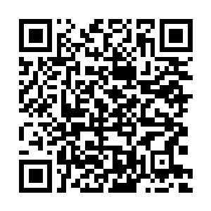 Lien vers votre campagne QRCode - Collecte de fonds